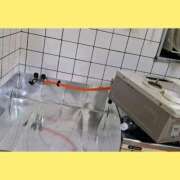 まつり 師走 三重松阪ちゃんこ