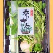 ヒメ日記 2026/01/07 16:53 投稿 まつり 三重松阪ちゃんこ