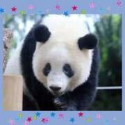 ヒメ日記 2026/01/28 15:33 投稿 まつり 三重松阪ちゃんこ