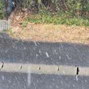 ヒメ日記 2026/02/08 11:53 投稿 まつり 三重松阪ちゃんこ