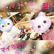 ヒメ日記 2026/02/13 17:23 投稿 まつり 三重松阪ちゃんこ