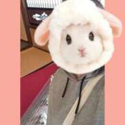 ヒメ日記 2026/02/16 20:07 投稿 まつり 三重松阪ちゃんこ