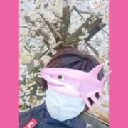 ヒメ日記 2026/04/03 18:13 投稿 まつり 三重松阪ちゃんこ