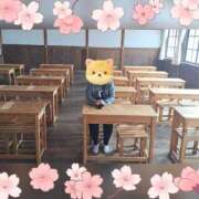 ヒメ日記 2026/04/04 17:33 投稿 まつり 三重松阪ちゃんこ