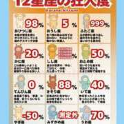 まつり ９９９% 三重松阪ちゃんこ