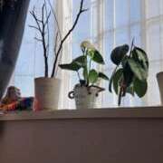 ヒメ日記 2026/04/16 18:23 投稿 まつり 三重松阪ちゃんこ