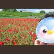 ヒメ日記 2026/05/11 19:33 投稿 まつり 三重松阪ちゃんこ