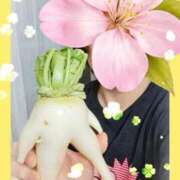 ヒメ日記 2026/05/13 17:43 投稿 まつり 三重松阪ちゃんこ