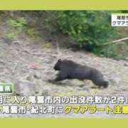 ヒメ日記 2026/05/14 18:53 投稿 まつり 三重松阪ちゃんこ