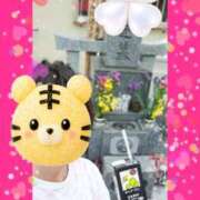 ヒメ日記 2026/06/18 18:43 投稿 まつり 三重松阪ちゃんこ