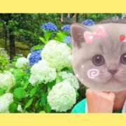 ヒメ日記 2026/08/07 19:43 投稿 まつり 三重松阪ちゃんこ