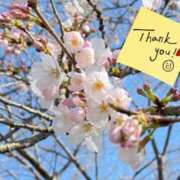 ヒメ日記 2025/03/24 08:15 投稿 えな 脱がされたい人妻 成田店