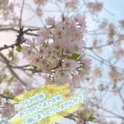 ヒメ日記 2025/04/04 23:00 投稿 えな 脱がされたい人妻 成田店