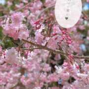 ヒメ日記 2025/04/08 08:30 投稿 えな 脱がされたい人妻 成田店