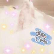 ヒメ日記 2025/06/27 18:02 投稿 えな 脱がされたい人妻 成田店