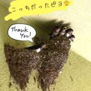 ヒメ日記 2025/07/19 00:30 投稿 えな 脱がされたい人妻 成田店