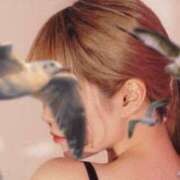 ヒメ日記 2025/04/19 19:57 投稿 しづき マリン宮殿雄琴店