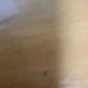 ヒメ日記 2025/02/23 17:39 投稿 スミレ On a best（オンナベスト）