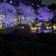 ヒメ日記 2025/04/03 22:42 投稿 稲田奈実(いなだなみ) 東京ヒストリー　秘密の約束