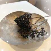 ヒメ日記 2025/04/28 22:22 投稿 稲田奈実(いなだなみ) 東京ヒストリー　秘密の約束