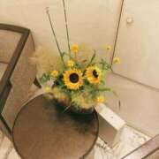 ヒメ日記 2025/07/04 13:22 投稿 稲田奈実(いなだなみ) 東京ヒストリー　秘密の約束