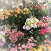 稲田奈実(いなだなみ) 🩷 東京ヒストリー　秘密の約束