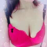 稲田奈実(いなだなみ) 🩷 東京ヒストリー　秘密の約束