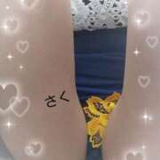 ヒメ日記 2024/12/11 13:14 投稿 さく マダム可憐