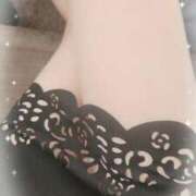 ヒメ日記 2025/01/11 15:55 投稿 さく マダム可憐