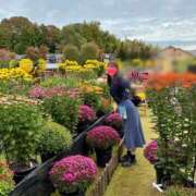 ヒメ日記 2025/11/03 21:02 投稿 りこ Polaris（ポラリス）