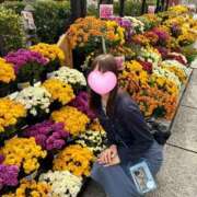 ヒメ日記 2025/11/04 13:22 投稿 りこ Polaris（ポラリス）