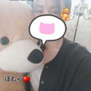 ヒメ日記 2025/03/29 08:44 投稿 ほむら 町田人妻城