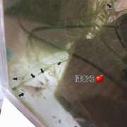 ヒメ日記 2025/05/05 08:07 投稿 ほむら 町田人妻城