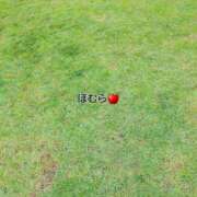 ヒメ日記 2025/08/31 07:20 投稿 ほむら 町田人妻城