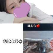 ヒメ日記 2026/02/15 07:21 投稿 ほむら 町田人妻城