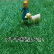 ヒメ日記 2026/04/01 17:19 投稿 ほむら 町田人妻城