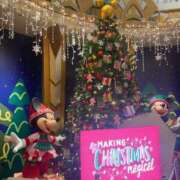 ヒメ日記 2024/12/14 21:10 投稿 けい チューリップ姫路店