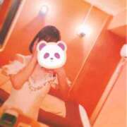 ヒメ日記 2024/12/16 21:48 投稿 けい チューリップ姫路店