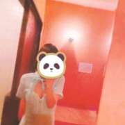 ヒメ日記 2024/12/17 09:00 投稿 けい チューリップ姫路店