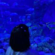 ヒメ日記 2024/12/18 11:32 投稿 けい チューリップ姫路店