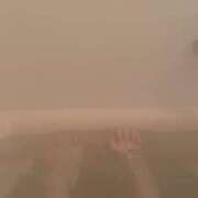 ヒメ日記 2024/12/18 14:26 投稿 けい チューリップ姫路店