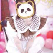 けい 暖かいね チューリップ姫路店