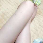 ヒメ日記 2024/12/29 12:05 投稿 ミナミ バニーコレクション千葉栄町店