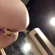 ヒメ日記 2025/02/19 12:31 投稿 ミナミ バニーコレクション千葉栄町店