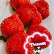 ヒメ日記 2025/01/11 23:26 投稿 せな ギン妻パラダイス 堺東店