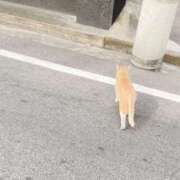 ヒメ日記 2025/02/04 13:38 投稿 せな ギン妻パラダイス 堺東店