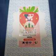 ヒメ日記 2024/12/31 16:58 投稿 めい Biz-ビズ-秘密の時間