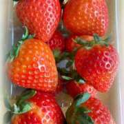 ヒメ日記 2025/01/12 08:15 投稿 さいか 千姫(道後)