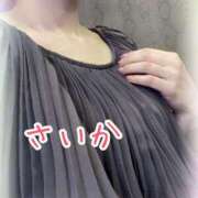 ヒメ日記 2025/02/08 10:25 投稿 さいか 千姫(道後)