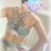 ヒメ日記 2025/02/22 08:15 投稿 さいか 千姫(道後)